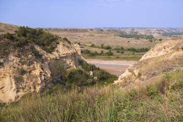 Bison herd at Theodore Roosevelt National Park, South Unit, North Dakota, USA