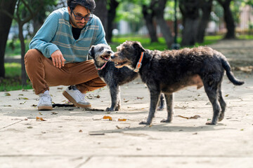 Man crouching in park interacting with two mixed breed dogs