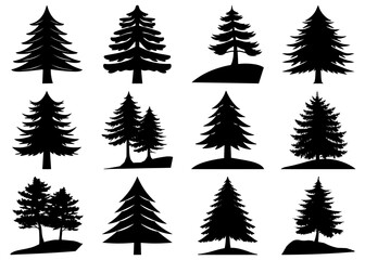 Obraz premium Black silhouette design of a tree bundle with transparency on white background