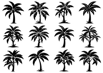 Fototapeta premium A black silhouette design of a tree bundle with transparency for creative projects