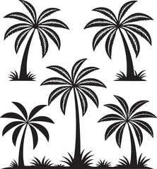 Fototapeta premium Collection of black silhouette palm trees tropical design