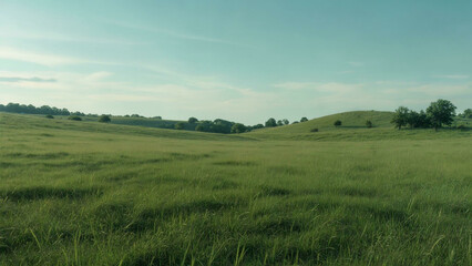 Obraz premium Endless Green Grass Landscape under Blue Sky