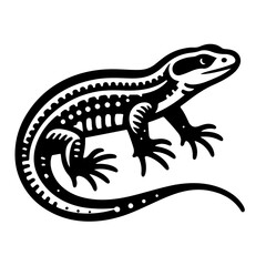 Fototapeta premium Minimalist Lizard Crawling