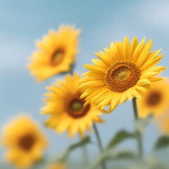 Obraz premium Dynamic photography of blurred sunflowers swaying in nature close-up viewpoint emphasizing vibrant colors