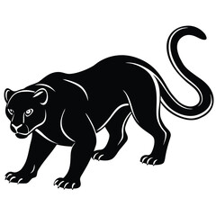 Obraz premium A sleek black panther prowls with a curved tail and white accents silhouette