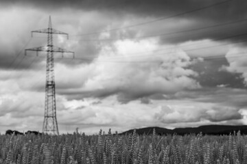 Der Strommast auf dem Felde