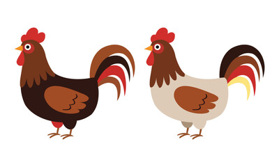 Fototapeta premium Cute Farm Chicken, Hen and Rooster Cartoon Vector Illustration on White Background