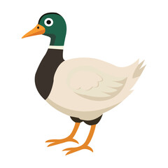 Adorable Duck Cartoon Vector Illustration for Kids and Farm-Themed Projects