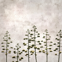 textured stylish old paper background, square,  with tall inflorescences of Agave americana, sentry...