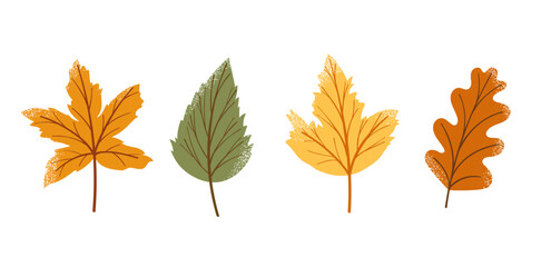  Set of fall leaves with grainy texture