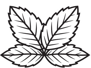 Fresh Mint Leaf Vector in Modern Line Art © Sajib