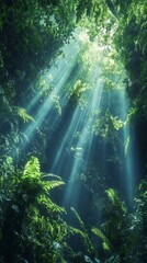 Rays of Light Streaming Through Lush Green Forest Canopy