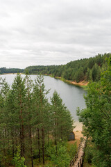 Panoramic Forest Lake View with Sandy Shore