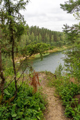 Forest Lake View with Wooden Structures on Sandy Bank