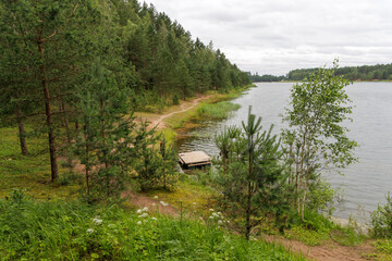 Wooden Pier on a Secluded Forest Lake