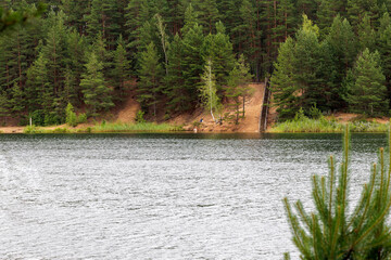 Forest Lake Shore with Stairs and Pine Grove