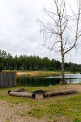 Lakeside Campfire Spot with Bare Tree