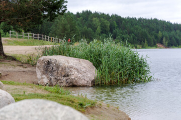 Lakeside Reeds and Boulders with Forest View