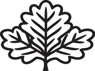 Classic Oak Leaf Vector in Clean Line Design