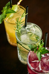 Colorful refreshing cocktails with mint and rosemary garnishes on table