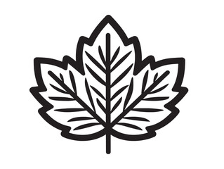 Professional Leaf Emblem Collection in Line Art Style  