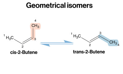 Geometrical Isomers: Cis-Trans Isomerism of 2-Butene Vector Illustration

