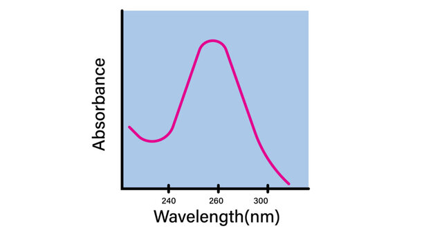 Nucleic Acid Absorbance Spectrum: UV-Vis Spectrophotometry Graph Vector Illustration