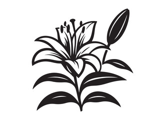 lily flower silhouette logo vector illustration, flower silhouette vector design, black lily flower logo black silhouette, beautiful lily flower logo silhouettes vector on a white background