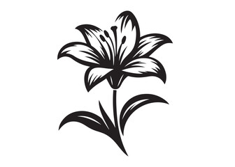 lily flower silhouette logo vector illustration, flower silhouette vector design, black lily flower logo black silhouette, beautiful lily flower logo silhouettes vector on a white background