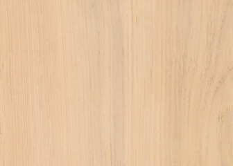 Naklejka premium Light Natural Oak Wood Texture Background