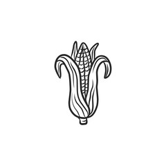 Obraz premium Hand-Drawn Black and White Corn Cob Illustration