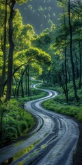 Fototapeta premium Serene Winding Road Through Lush Green Forest