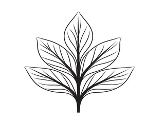 Abstract Stylized Leaf Symbol in Smooth Line Design  