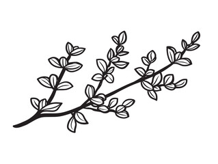 Thyme Branch Icon with Beautiful Line Art Detailing  