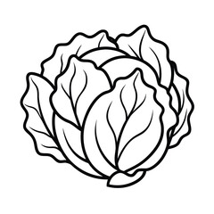 cabbage leave clipart isolated