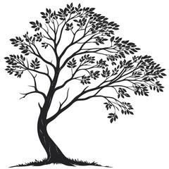 Obraz premium Isolated Black Silhouette of a Tree on White Background