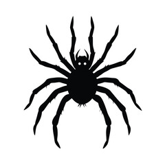 creepy spider clipart with spiky legs