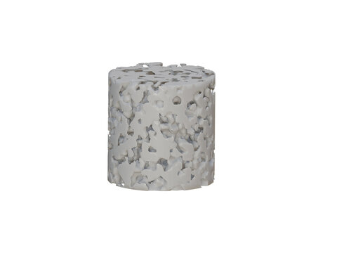 Cylindrical scaffold-1