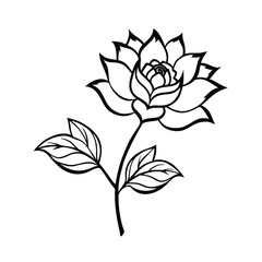 detailed vector illustration of a beautiful open