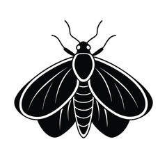 elegant black moth illustration isolated