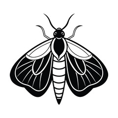 elegant black moth illustration isolated
