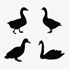 set of duck silhouettes black and white vector design