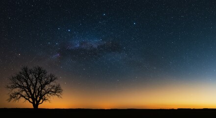 Naklejka premium Lone Tree Silhouetted Under a Starry Galaxy Sky.