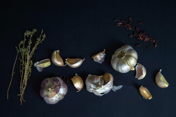 fresh garlic with herbs and organic spices on a dark background