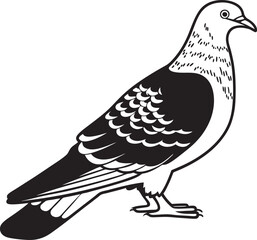 vector illustration of dove