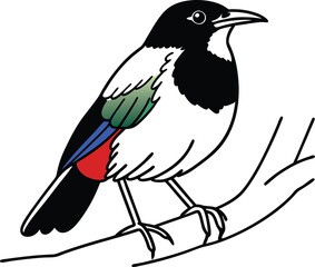 vector illustration of a bird