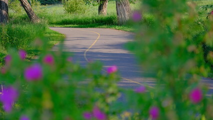 Flower path, nature, wildlife