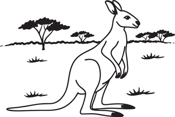 Fototapeta premium kangaroo in the grass