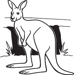 kangaroo vector illustration