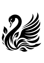 Fototapeta premium A graceful swan is swimming with elegant feathers, isolated on white background